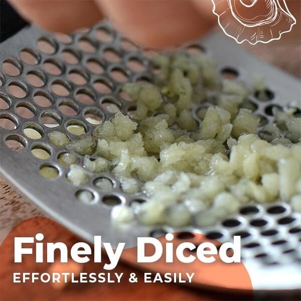 🔥Special Offer Now - Stainless Steel Garlic Presser