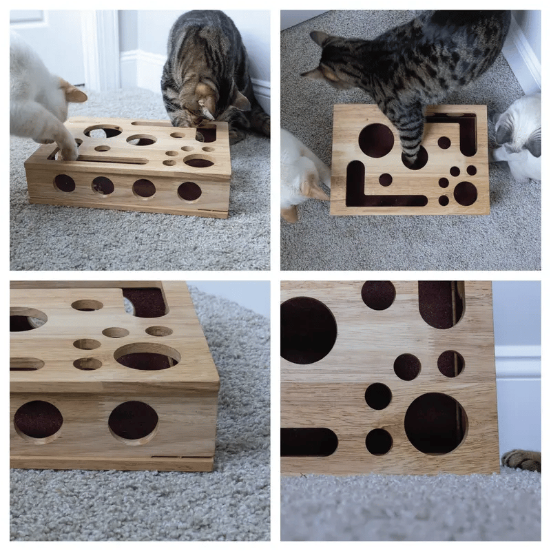 49%OFF ๐๐Cat Scratch Puzzle Enrichment Box: Nail File Stress Free Alternative to Clippers and Grinders