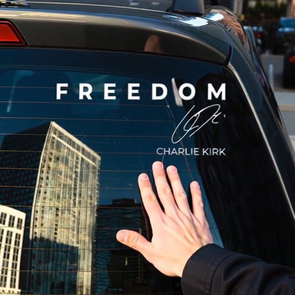 🚗✨Car Freedom Vinyl Sticker