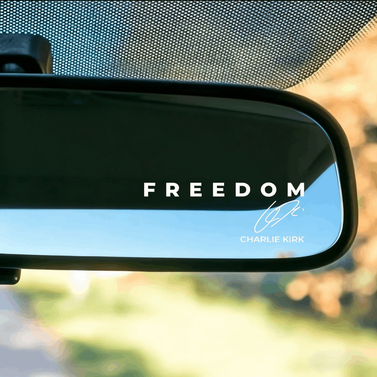 🚗✨Car Freedom Vinyl Sticker