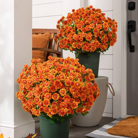 💥ON SALE💥- Artificial Outdoor Sunset Mums Flowers - UV resistant, Waterproof, Windproof