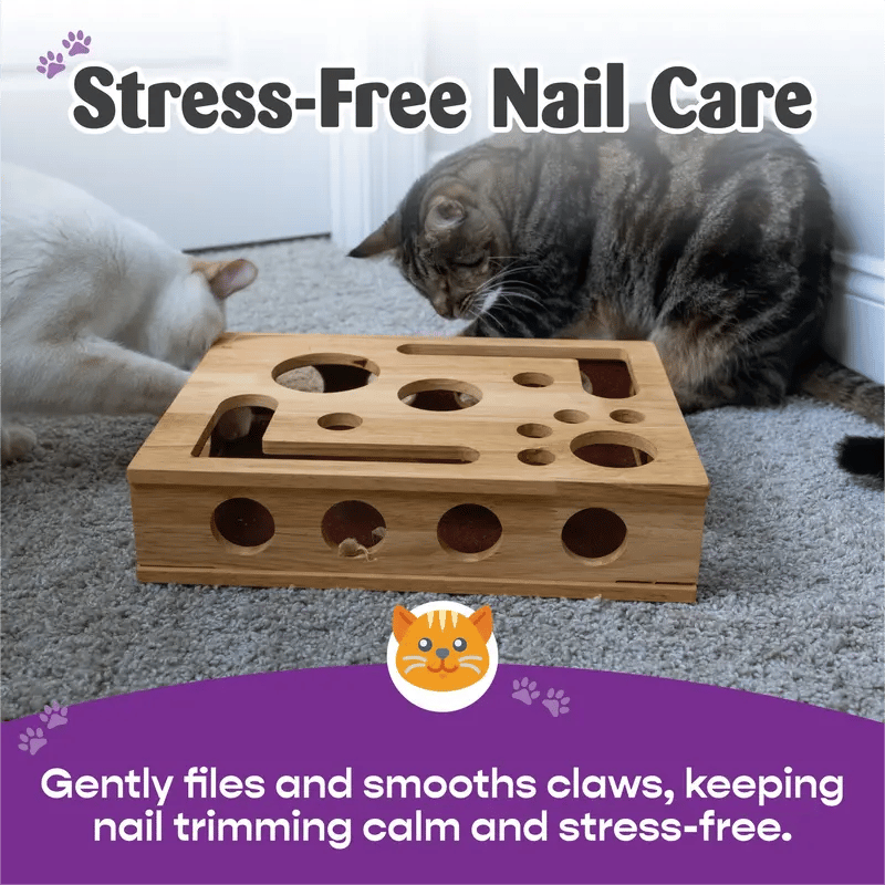 49%OFF ๐๐Cat Scratch Puzzle Enrichment Box: Nail File Stress Free Alternative to Clippers and Grinders