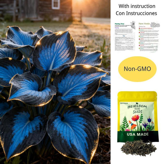 🌌Hosta Seeds Perennial Shade Plant for Garden